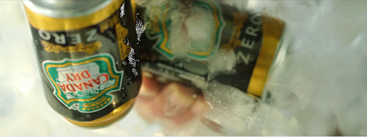 Canada Dry — 2020